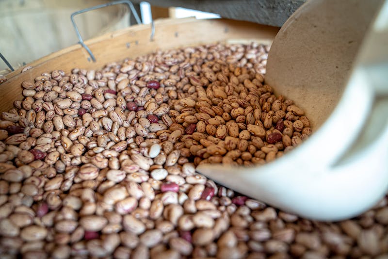 Dorayaki con crema de judía roja